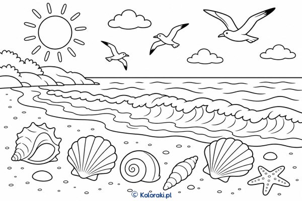 Muszelki na Letniej Plaży