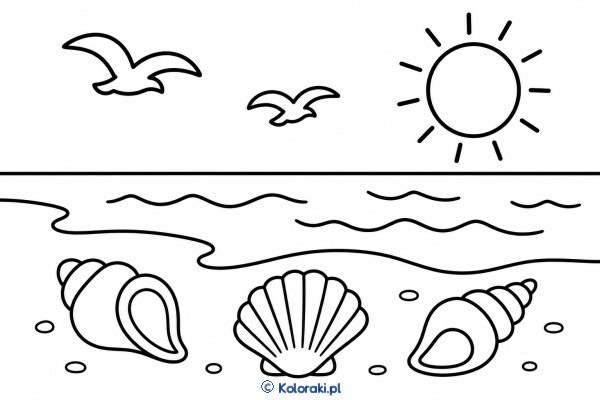 Muszelki na Letniej Plaży