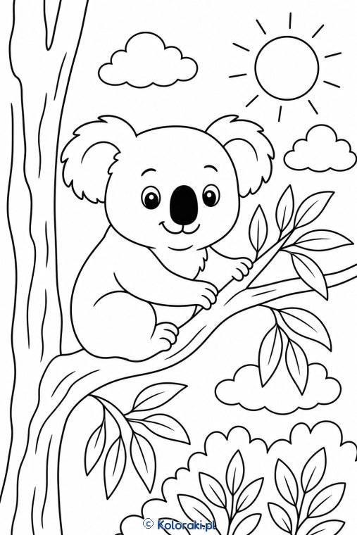 Koala na Eukaliptusowej Gałęzi