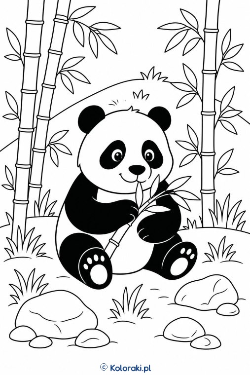 Panda w Bambusowym Gaju
