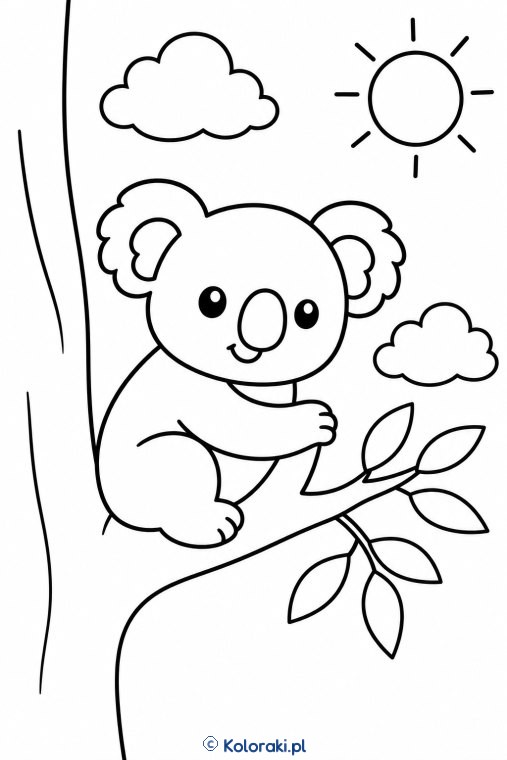 Koala na Eukaliptusowej Gałęzi