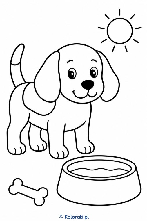 Piesek przy misce – beagle