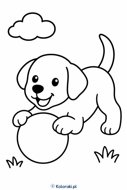 Piesek z wielką piłką – labrador retriever