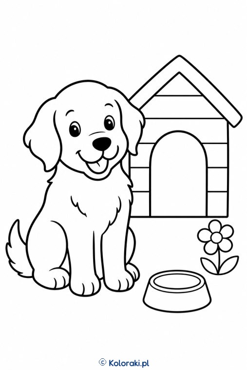 Piesek przy budzie – golden retriever