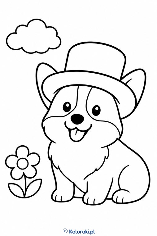 Piesek w kapeluszu – corgi