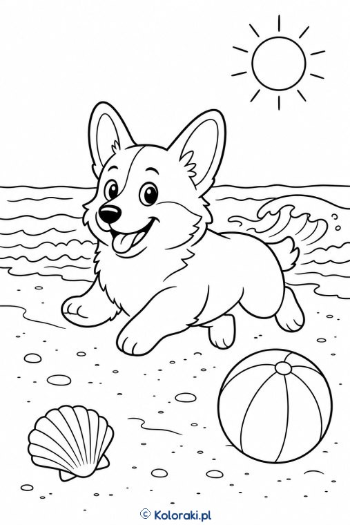 Corgi na plaży – corgi