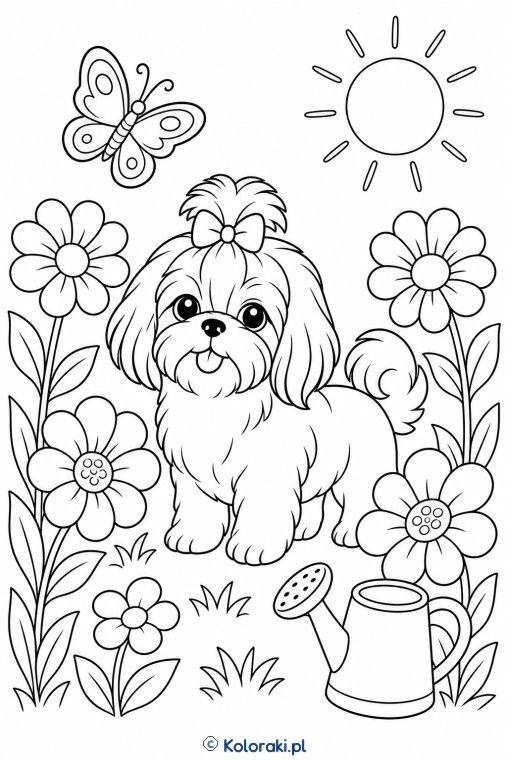 Shih tzu w ogrodzie – shih tzu