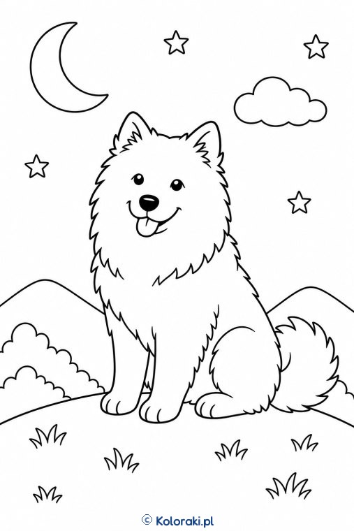 Samojed pod gwiazdami – samojed