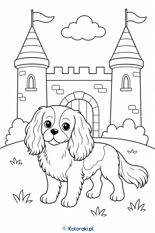Cavalier przy zamku – cavalier king charles spaniel