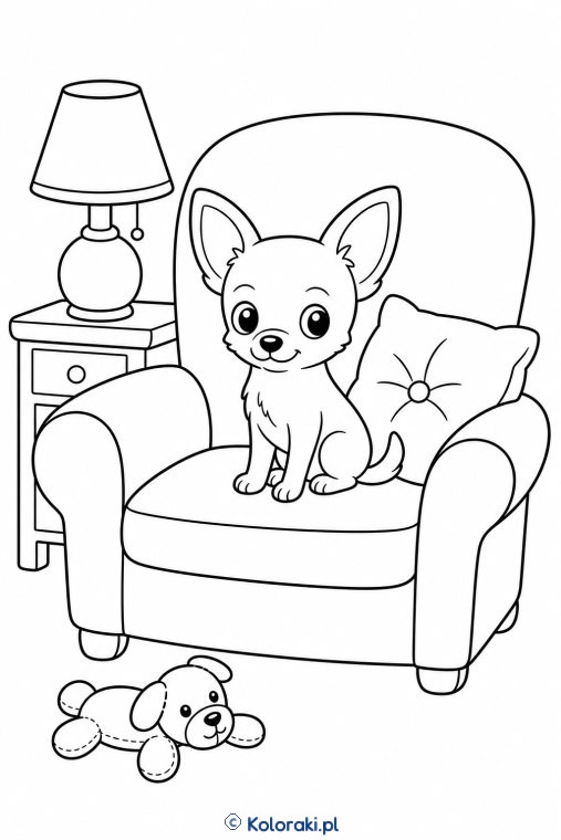 Chihuahua w wielkim fotelu – chihuahua