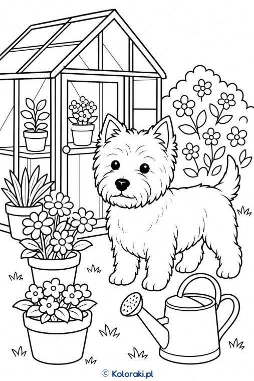 Westie przy szklarni – west highland white terrier