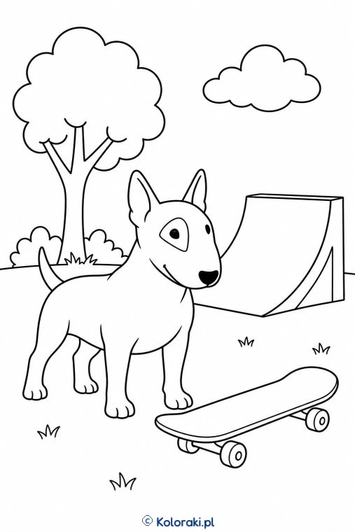 Bullterrier przy skateparku – bullterrier