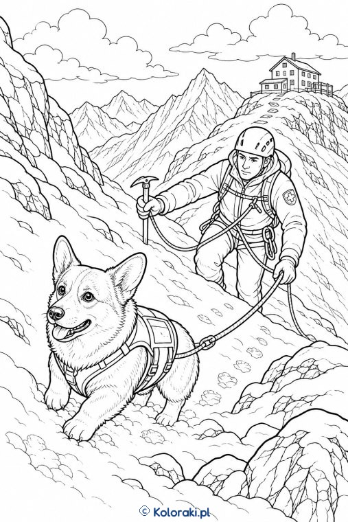 Bernardyn podczas lawinowej wyprawy – corgi