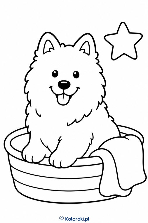 Piesek w koszyku – samojed