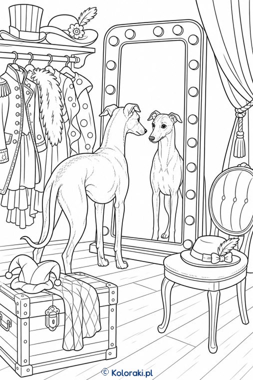 Pomeranian w garderobie teatralnej – whippet