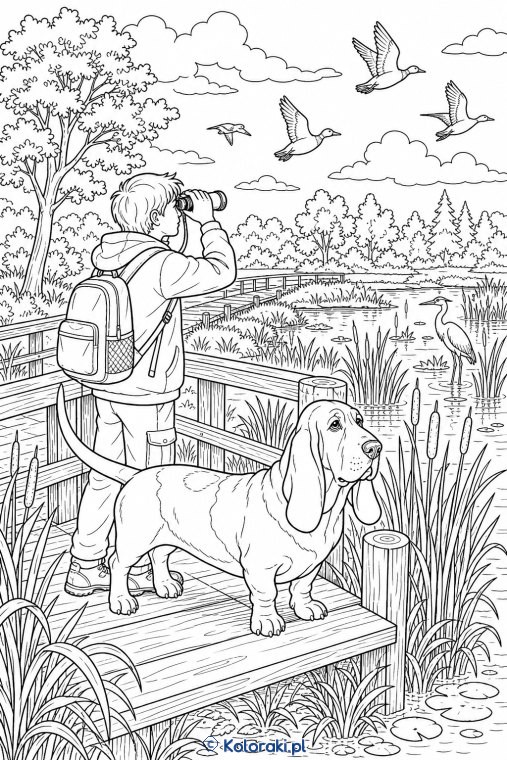 Wyżeł podczas obserwacji ptaków – basset hound