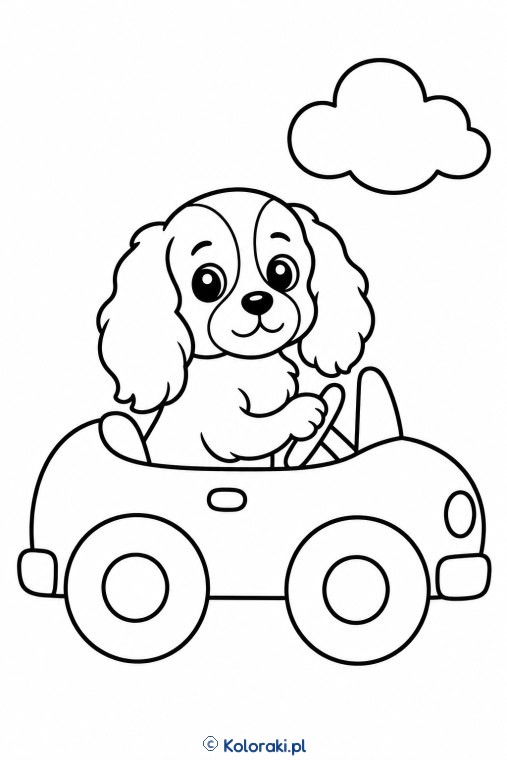 Piesek w samochodziku – cavalier king charles spaniel