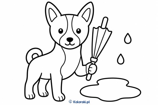 Piesek z parasolką – basenji