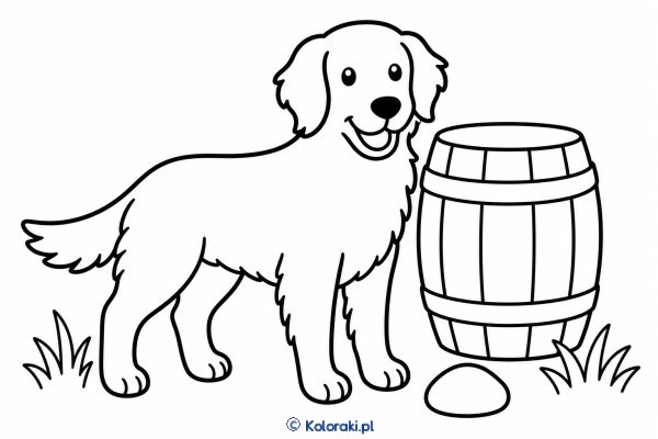Piesek przy beczce – flat coated retriever