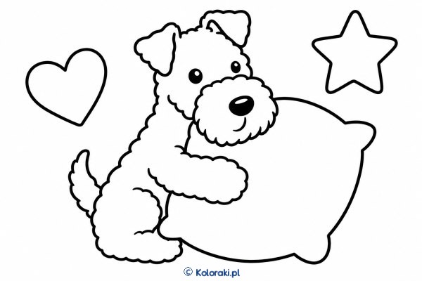 Piesek z poduszką – kerry blue terrier