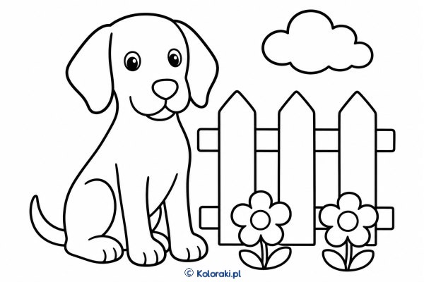 Piesek przy płotku – weimaraner