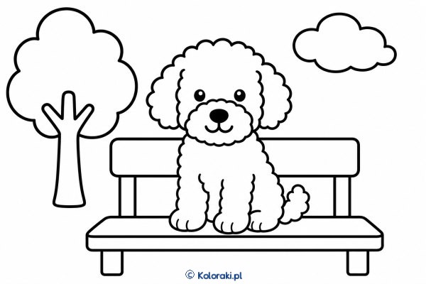 Piesek na ławce – lagotto romagnolo