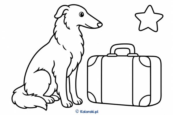 Piesek przy walizce – borzoi
