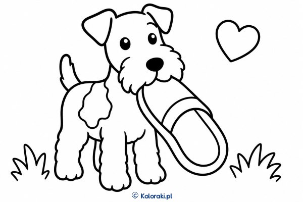 Piesek z kapciem – foxterrier