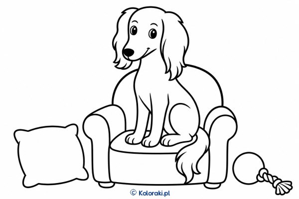 Piesek na foteliku – saluki