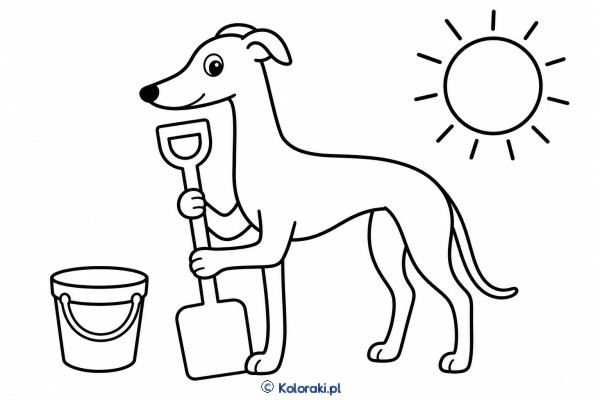 Piesek z dużą łopatką – greyhound