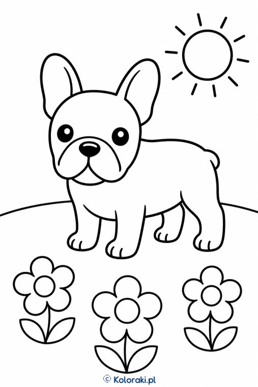 Piesek na łące – buldog francuski