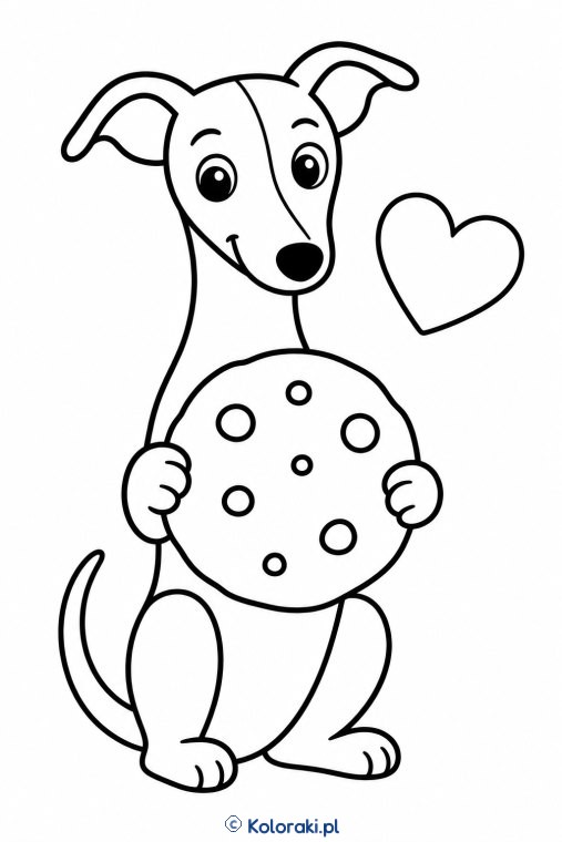 Piesek z ciasteczkiem – whippet