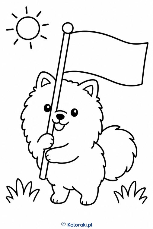 Piesek z chorągiewką – pomeranian