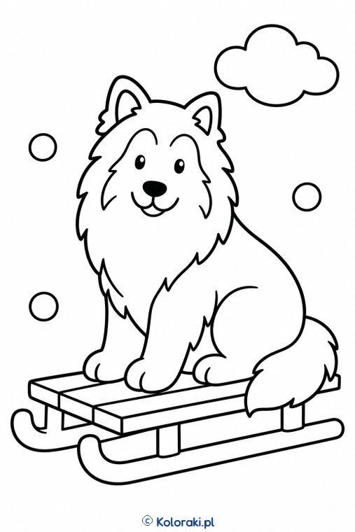 Piesek na sankach – collie