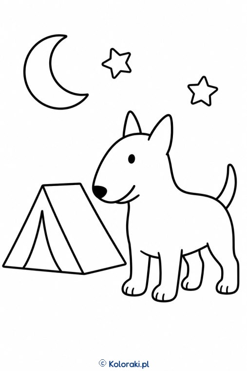 Piesek przy namiocie – bullterrier