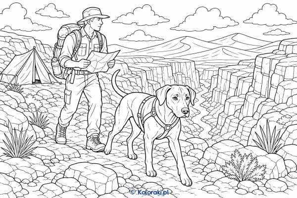 Rhodesian ridgeback na pustynnym szlaku – rhodesian ridgeback