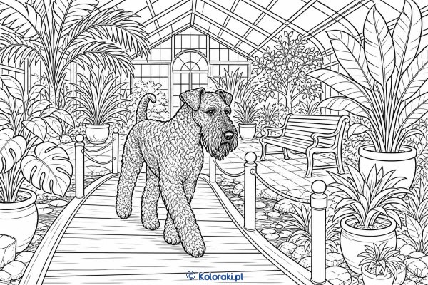 Kerry blue terrier w ogrodzie botanicznym – kerry blue terrier