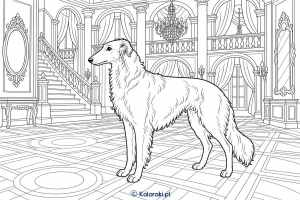 Borzoi w sali balowej – borzoi