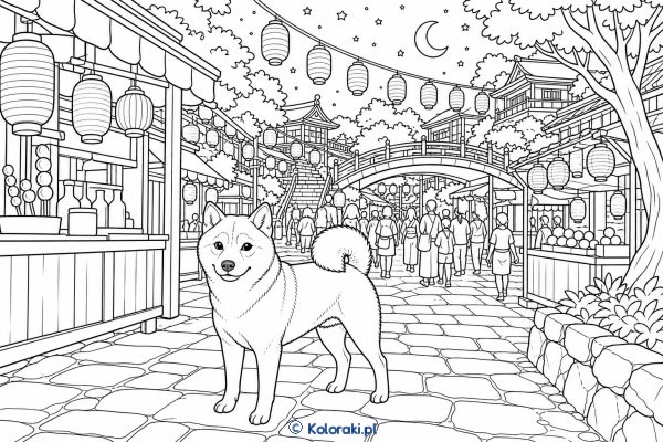 Shiba inu podczas festiwalu lampionów – shiba inu