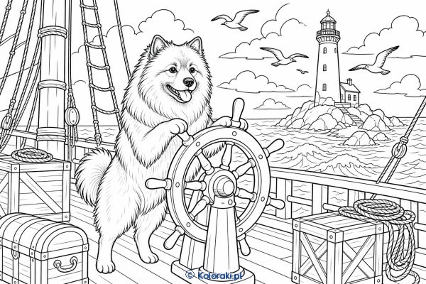 Keeshond na starym statku – keeshond