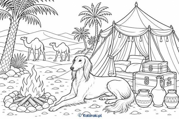Saluki w obozie karawany – saluki