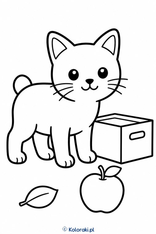 Kotek przy skrzynce – kot mekong bobtail