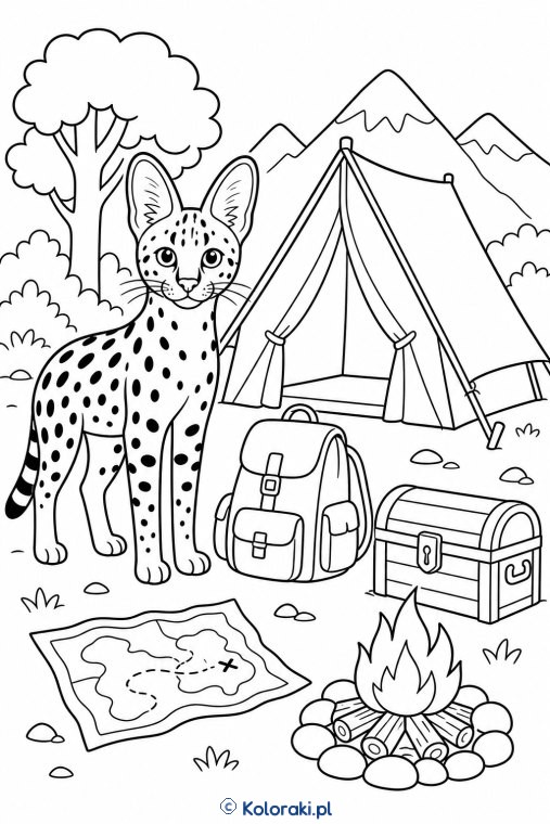 Safari przy obozie – kot safari