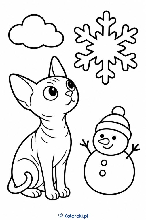 Kotek przy śnieżynce – kot don sphynx