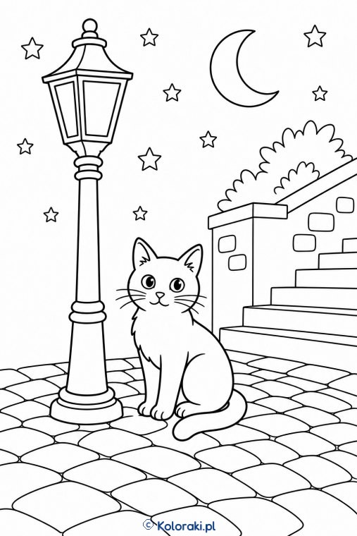 Czarny kot na nocnej uliczce – kot udomowiony czarny