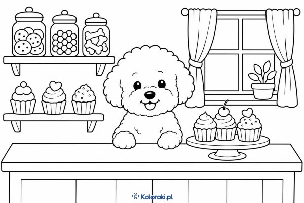 Bichon frise w cukierni – bichon frise
