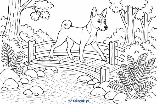 Basenji na leśnym mostku – basenji