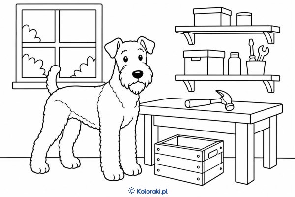 Airedale terrier przy warsztacie – airedale terrier