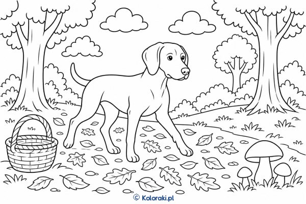 Weimaraner na jesiennej ścieżce – weimaraner