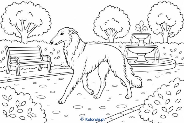 Borzoi na pałacowej alejce – borzoi